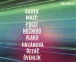 Pocit nočního vlaku