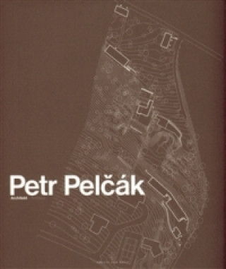 Petr Pelďż˝ďż˝k Architekt