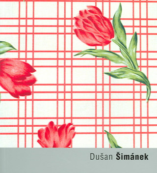 DUŠAN ŠIMÁNEK/22