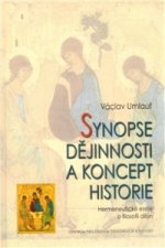 Synopse dějinnosti a koncept historie