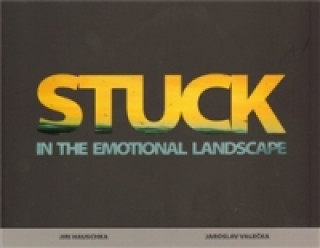 Stuck in the emotional landscape