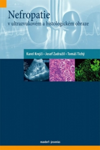 Nefropatie v ultrazvukovďż˝m a histologickďż˝m obraze