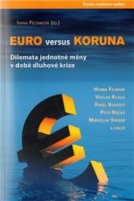 Euro versus koruna