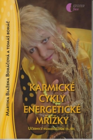 Karmické cykly, energetické mřížky