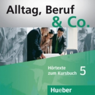 Hörtexte zum Kursbuch, 2 Audio-CDs