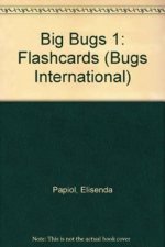 Big Bugs 1 Flashcards International