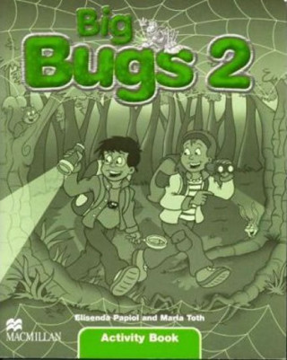 Big Bugs 2 Activity Book International