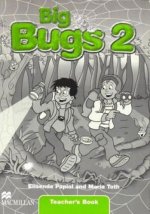 Big Bugs 2 Flashcards International