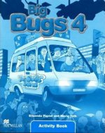 Big Bugs 4 Flashcards International