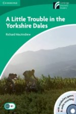Little Trouble in the Yorkshire Dales Level 3 Lower-intermediate Book with CD-ROM and Audio CDs (2)