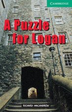 Puzzle for Logan Level 3