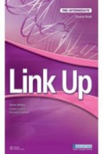 Link Up Pre-intermediate with Audio CD