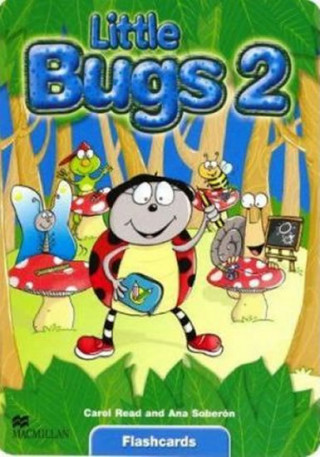Little Bugs 2 Flashcards International