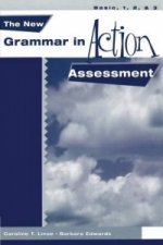New Grammar in Action: Assessment Booklet (Basic - 3)