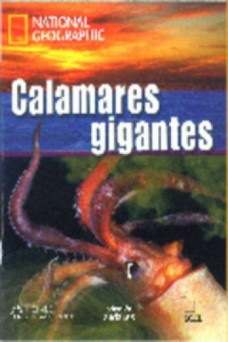 NG - Andar.es: Calamares gigantes + DVD