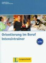 Orientierung im Beruf Intensivtrainer mit Audio CD