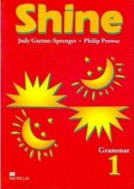Shine Grammar 1 Answer Key