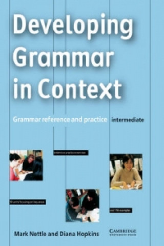 Developing Grammar in Context Intermediate without answers