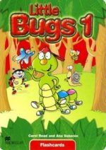 Little Bugs 1 Flashcards International