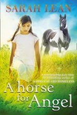 Horse for Angel