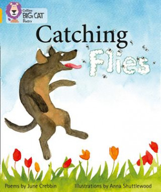 Catching Flies