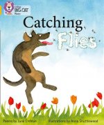 Catching Flies