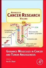 Guidance Molecules in Cancer and Tumor Angiogenesis