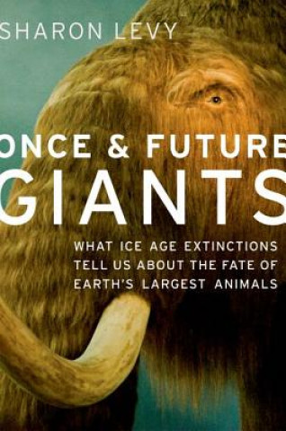 Once and Future Giants (Sharon Levy)(Miękka)