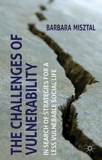 Challenges of Vulnerability