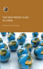 New Middle Class in China