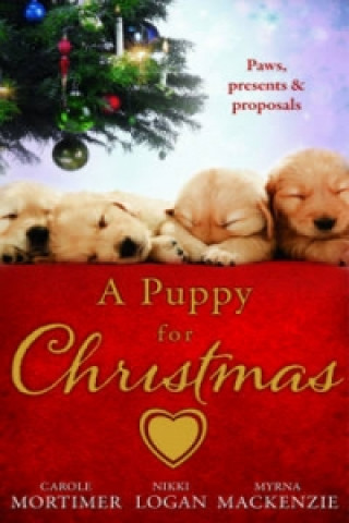 Puppy for Christmas