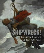 Shipwreck! Winslow Homer and 