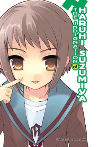 Indignation of Haruhi Suzumiya (light novel)