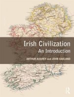 Irish Civilization