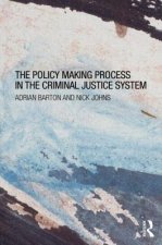 Policy Making Process in the Criminal Justice System
