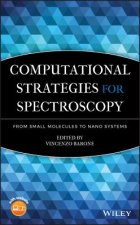Computational Strategies for Spectroscopy - from Small Molecules to Nano Systems