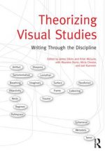 Theorizing Visual Studies