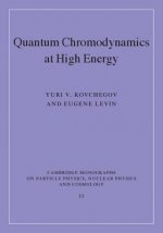 Quantum Chromodynamics at High Energy