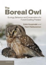 Boreal Owl