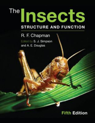 Insects (R F Chapman)(Brožovaná)
