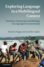 Exploring Language in a Multilingual Context