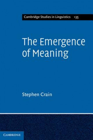 Emergence of Meaning