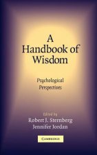 Handbook of Wisdom