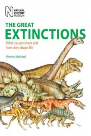 Great Extinctions