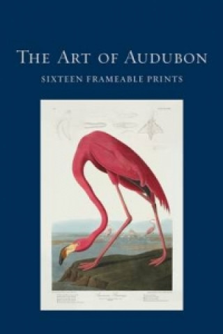 Art of Audubon