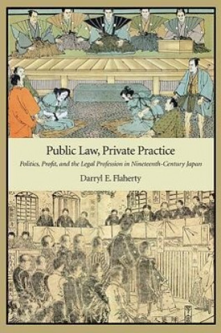 Public Law, Private Practice