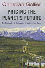 Pricing the Planet's Future