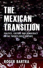 Mexican Transition
