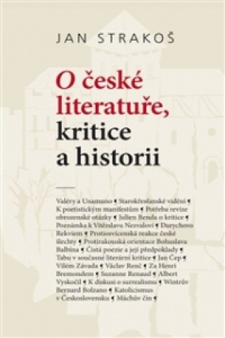 O české literatuře, kritice a historii