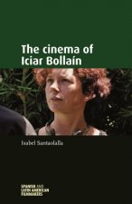 Cinema of Iciar BollaiN